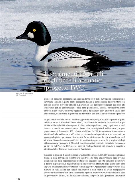 censimenti uccelli acquatici iwc